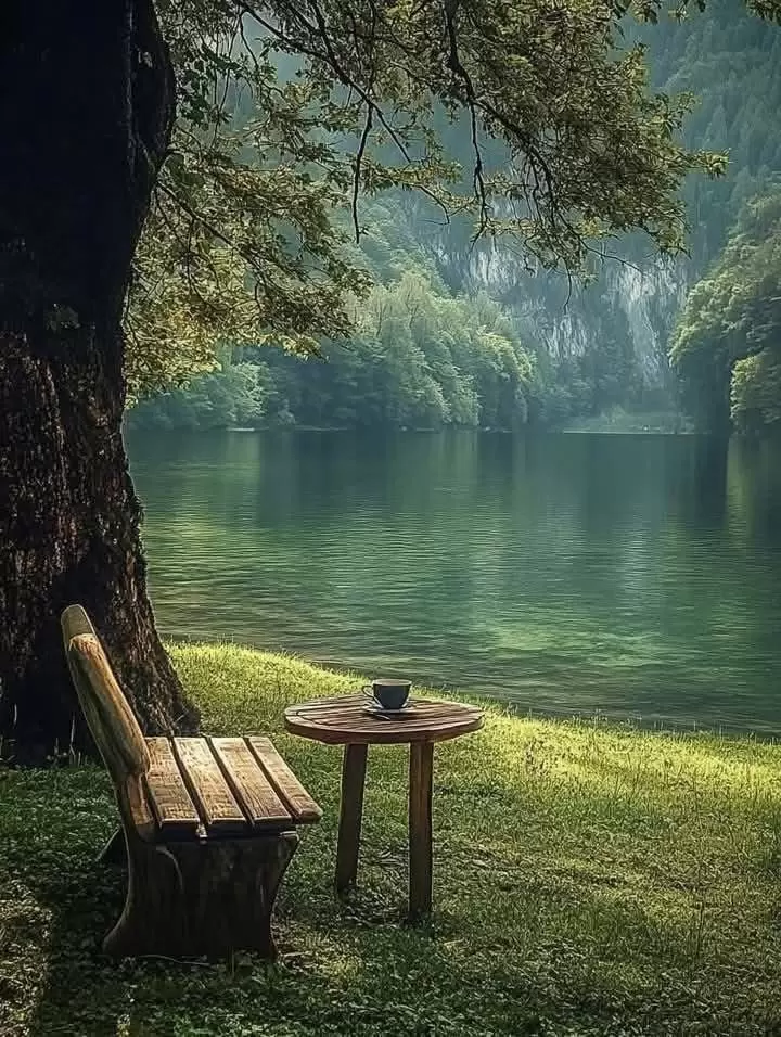 VITAMINA D GOTAS INFANTIL